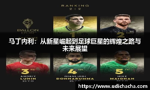 马丁内利：从新星崛起到足球巨星的辉煌之路与未来展望